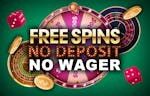 Free Spins No Deposit No Wager NZ 2024